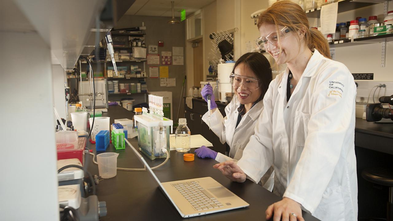 Lab researchers at UC Davis