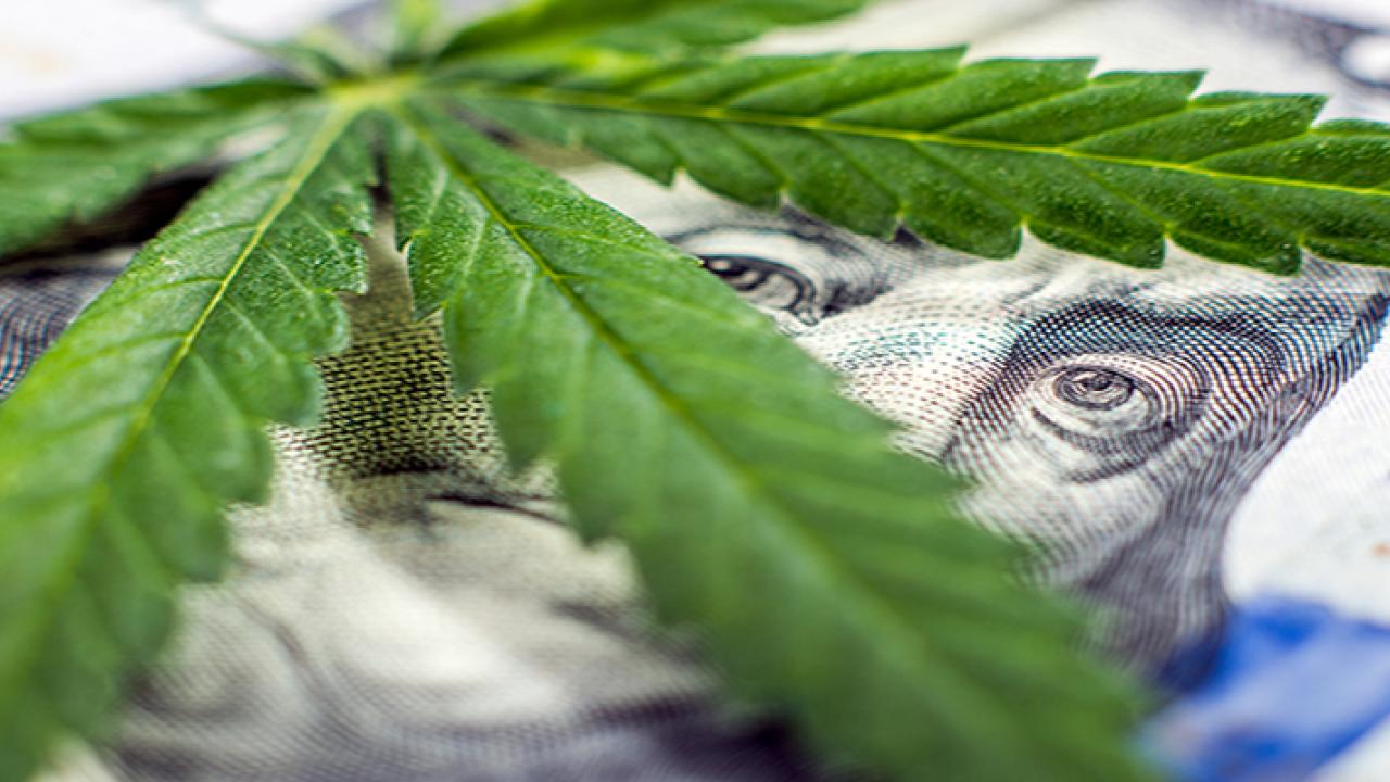 marijuana leaf over cash