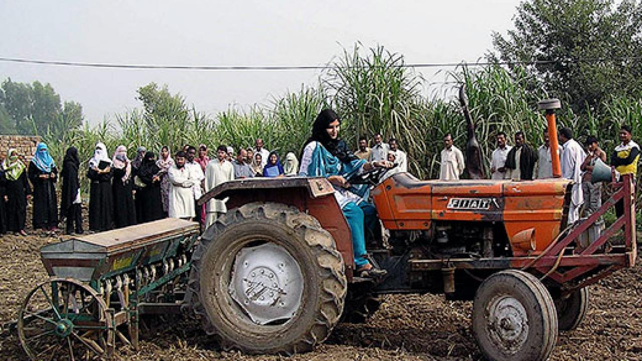 A woman driving a tractor as people watch