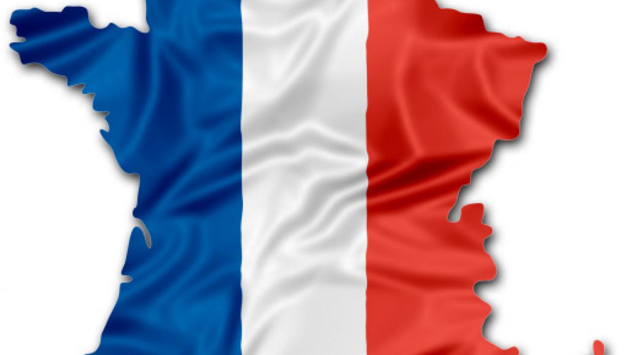 Map of France in the French flag 