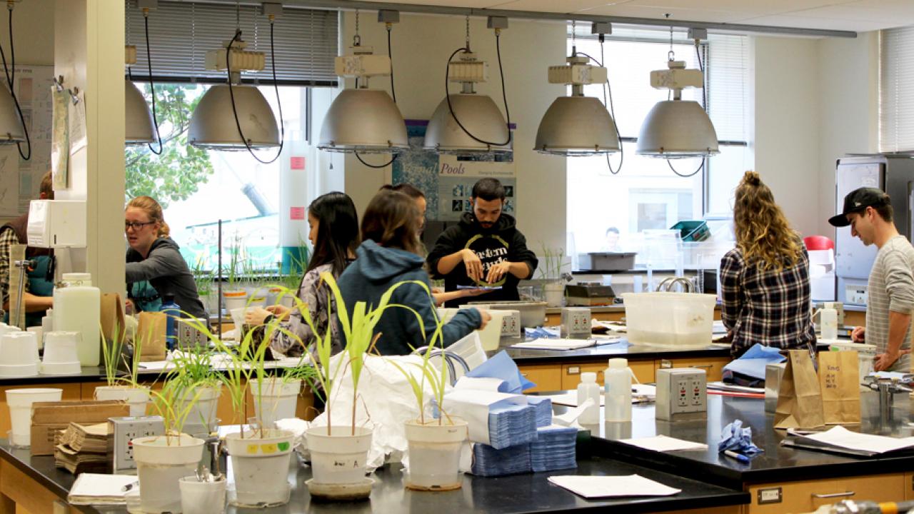 Plant science teaching lab with students