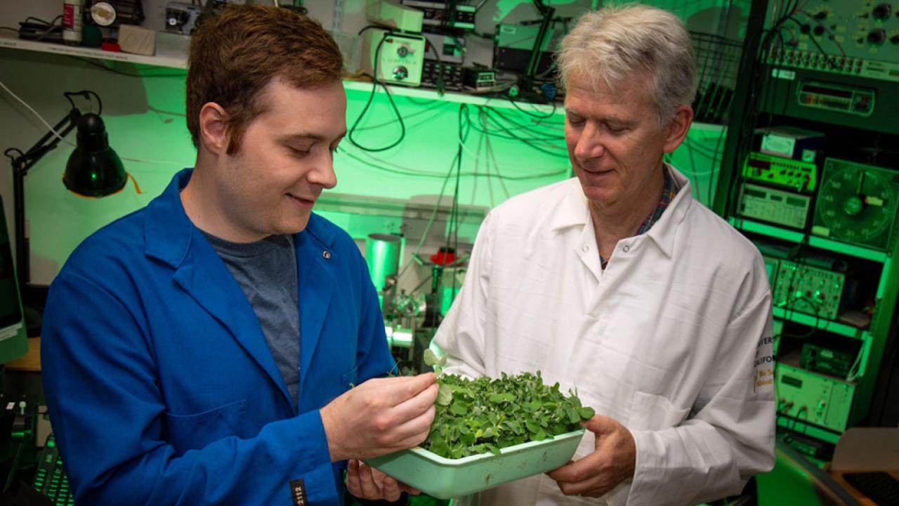 Men in lab coats examine tray plants.