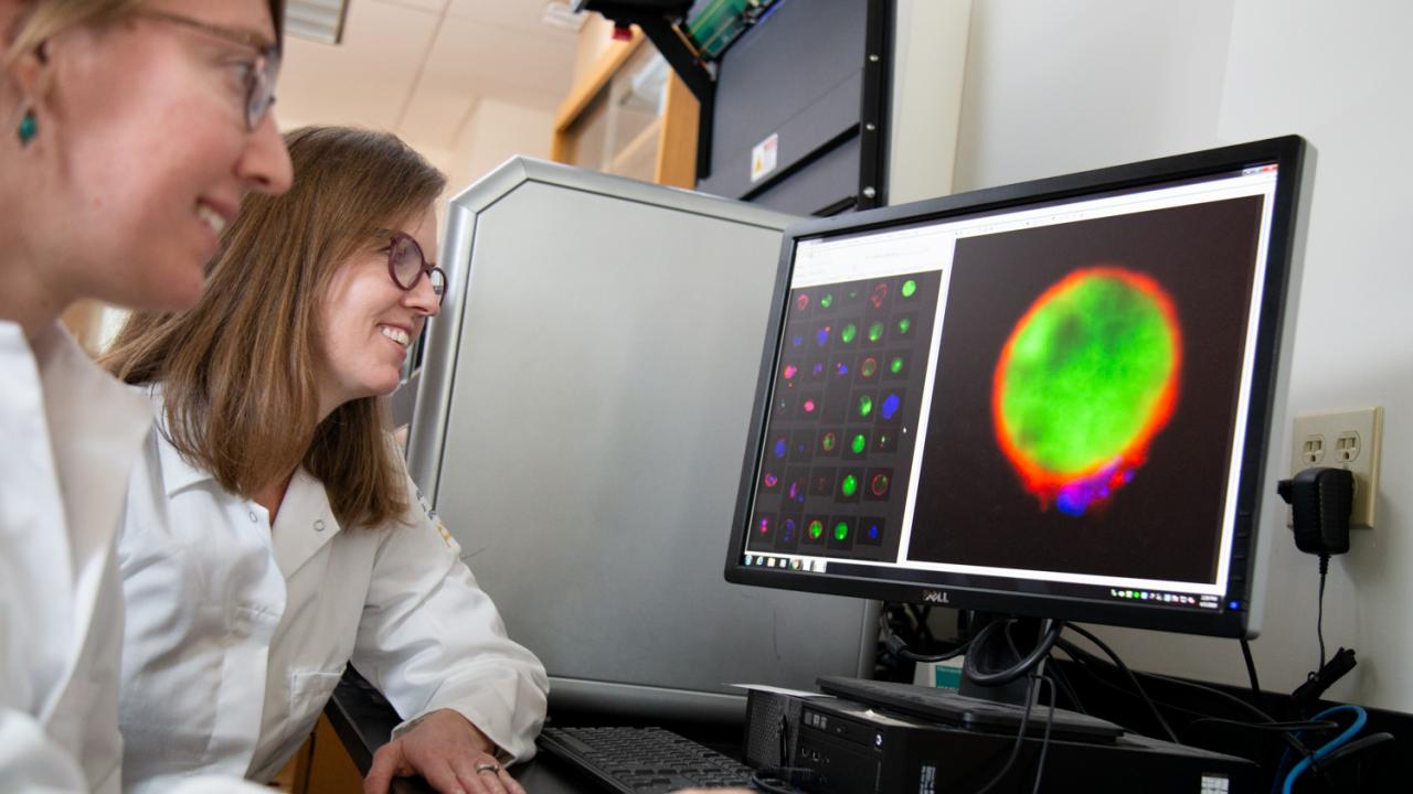 Scientists looking at microscope images on screen