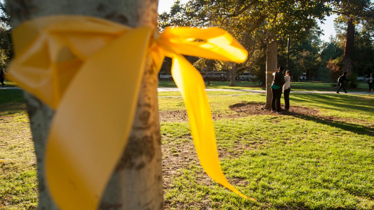 Yellow ribbon on a tree on the Quad