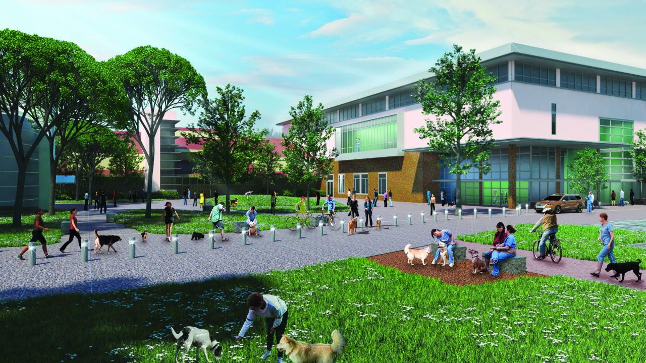 New Veterinary Medical Center on the Drawing Board | UC Davis