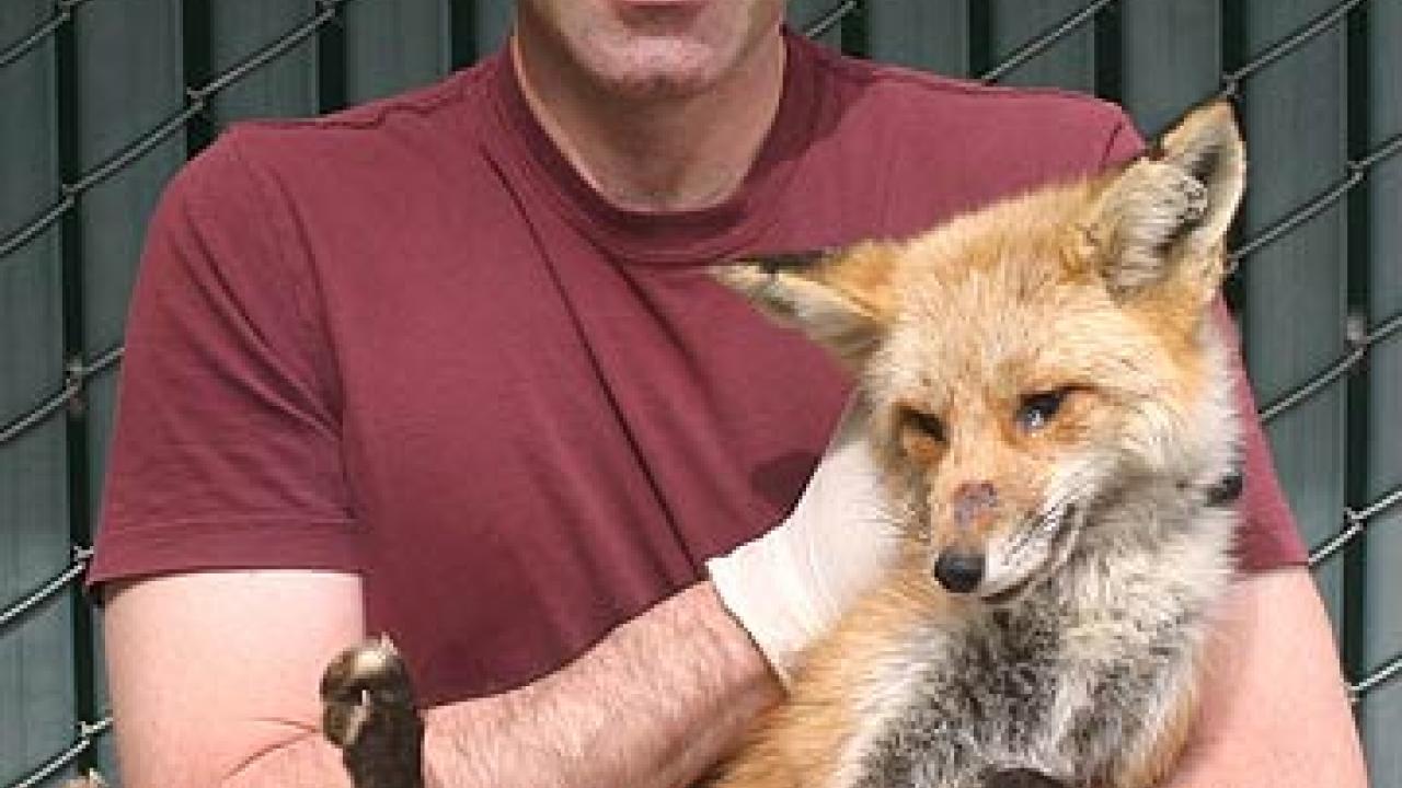 Photo: Ben Sacks holding red fox
