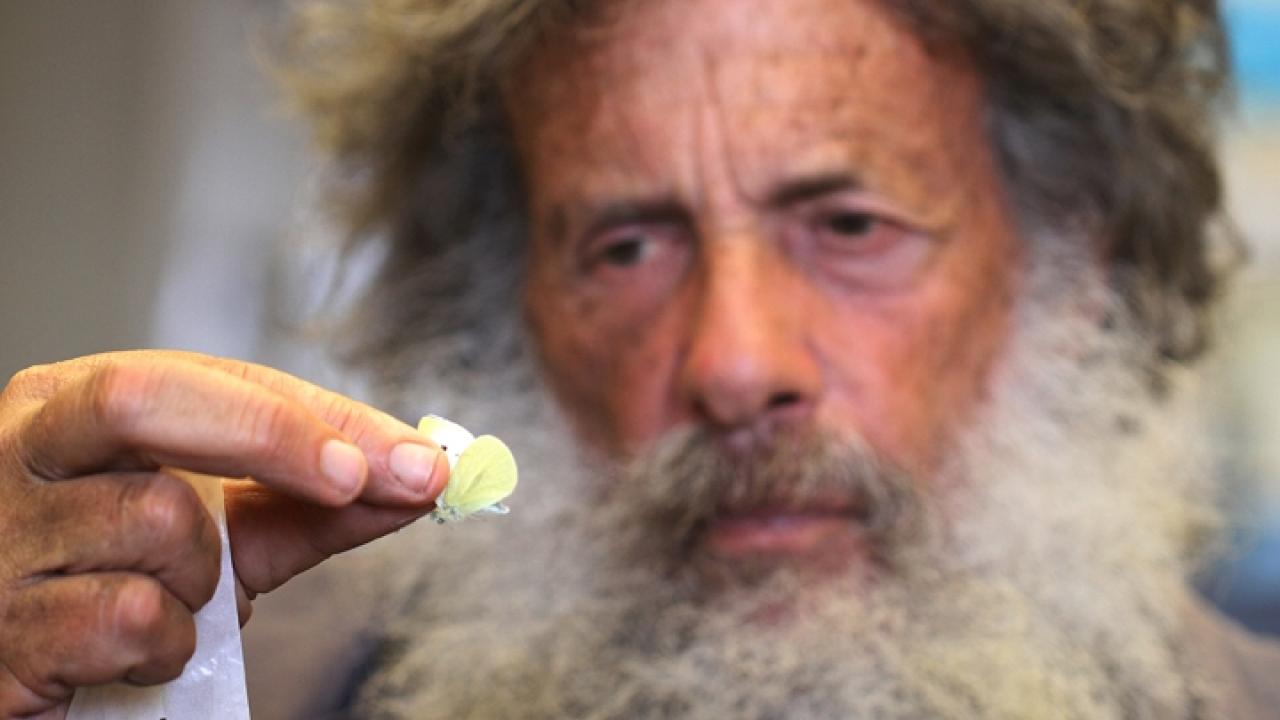 Art Shapiro holds a cabbage white butterfly.