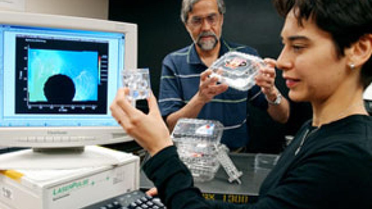 Graduate student Maria Ferrua looks at marbles used to model the air flow around objects, like different types of fruit. R. Paul Singh is shown holding  strawberry cartons that are currently available commercially. He is using computer models to