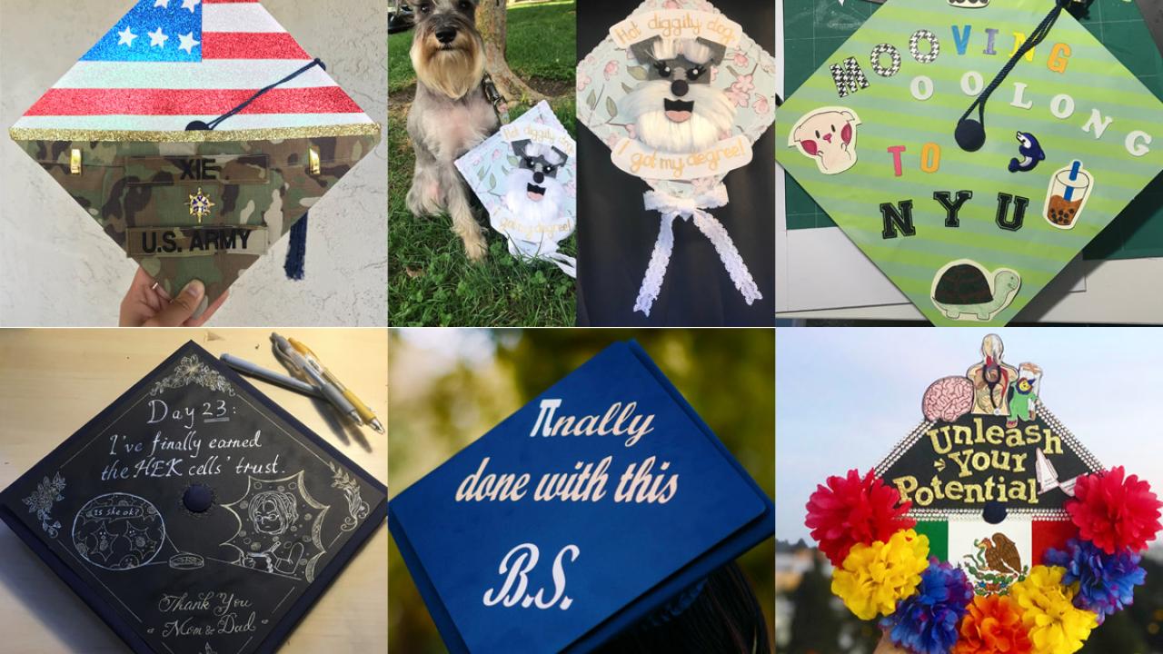 Six decorated graduation caps.