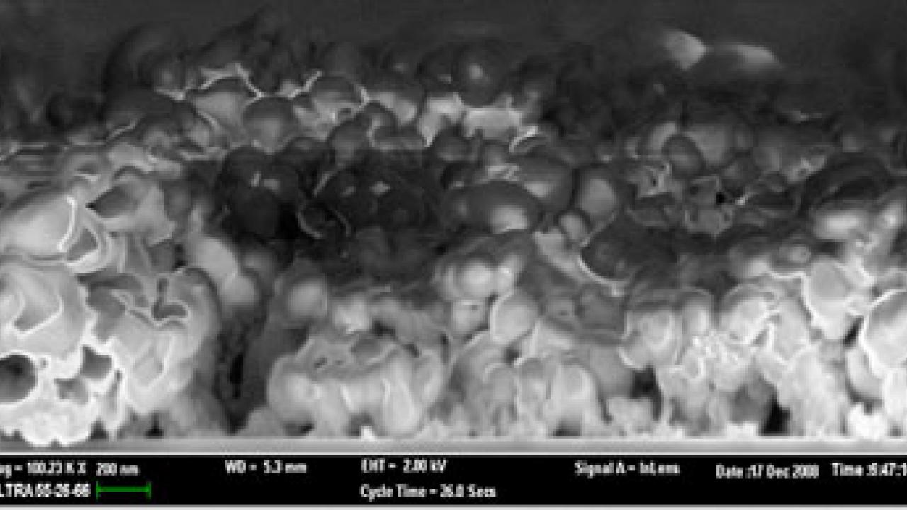Photo: microscope picture of nanoparticles