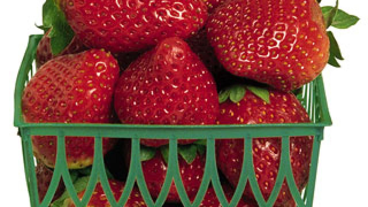 Photo:basket of strawberries