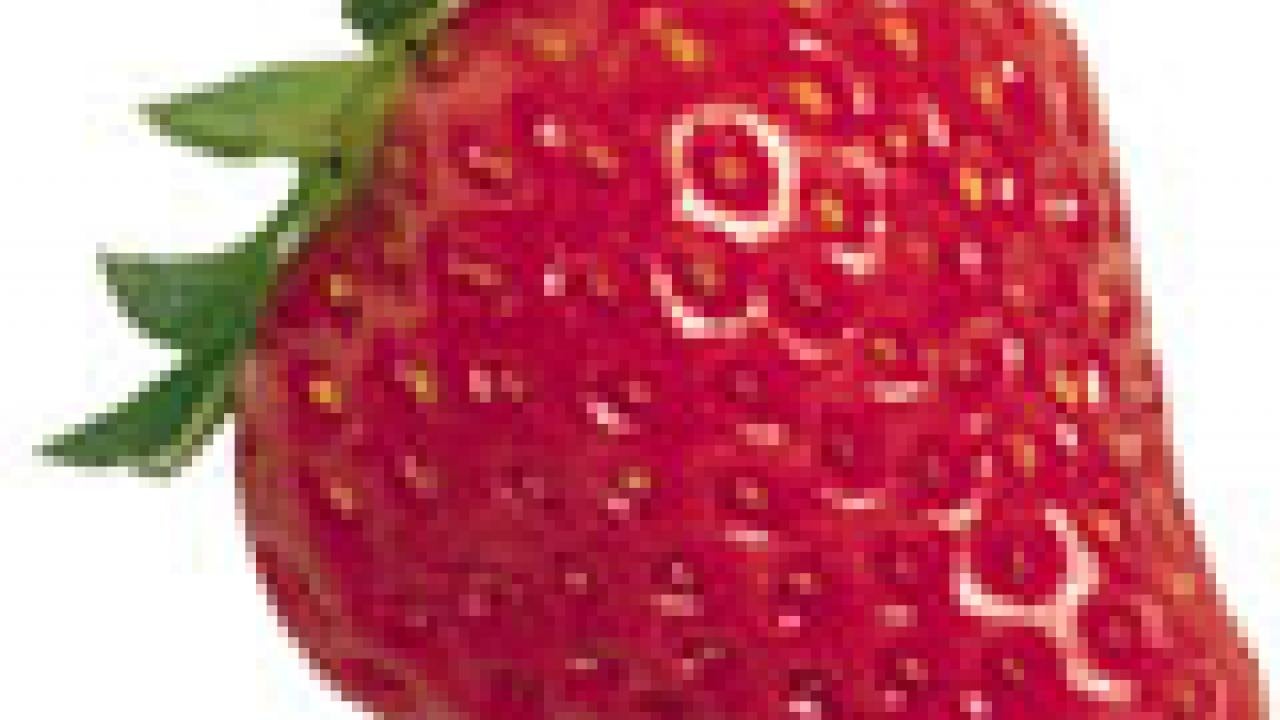 photo of strawberry