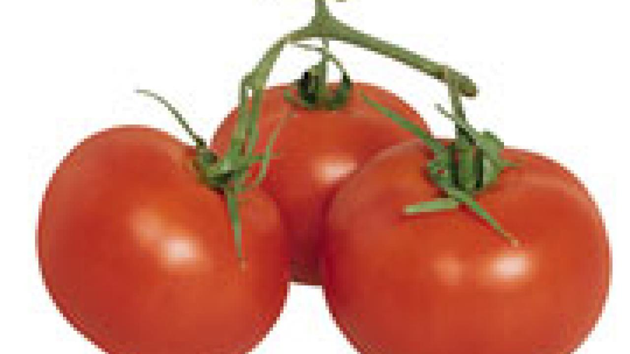 Photo: three tomatoes