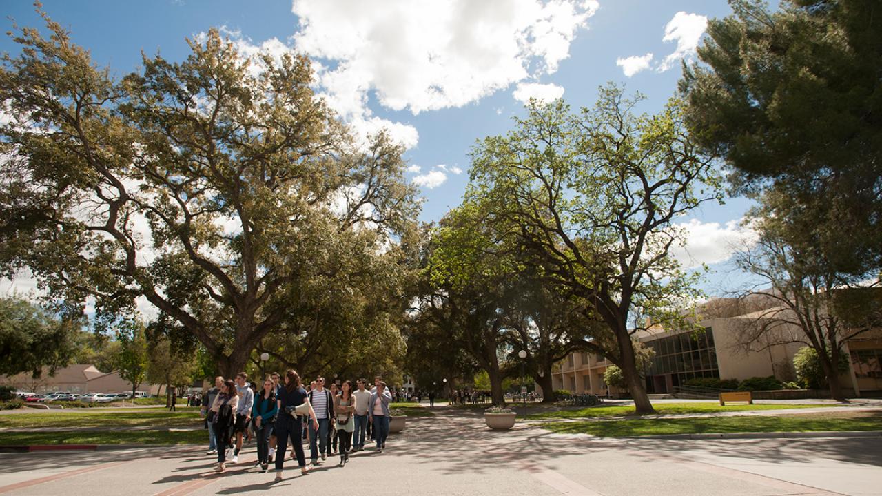 Prospective students tour UC Davis.