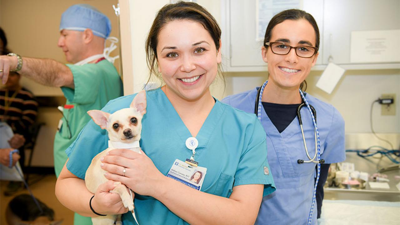 UC Davis Claims High World Rating in Veterinary Science