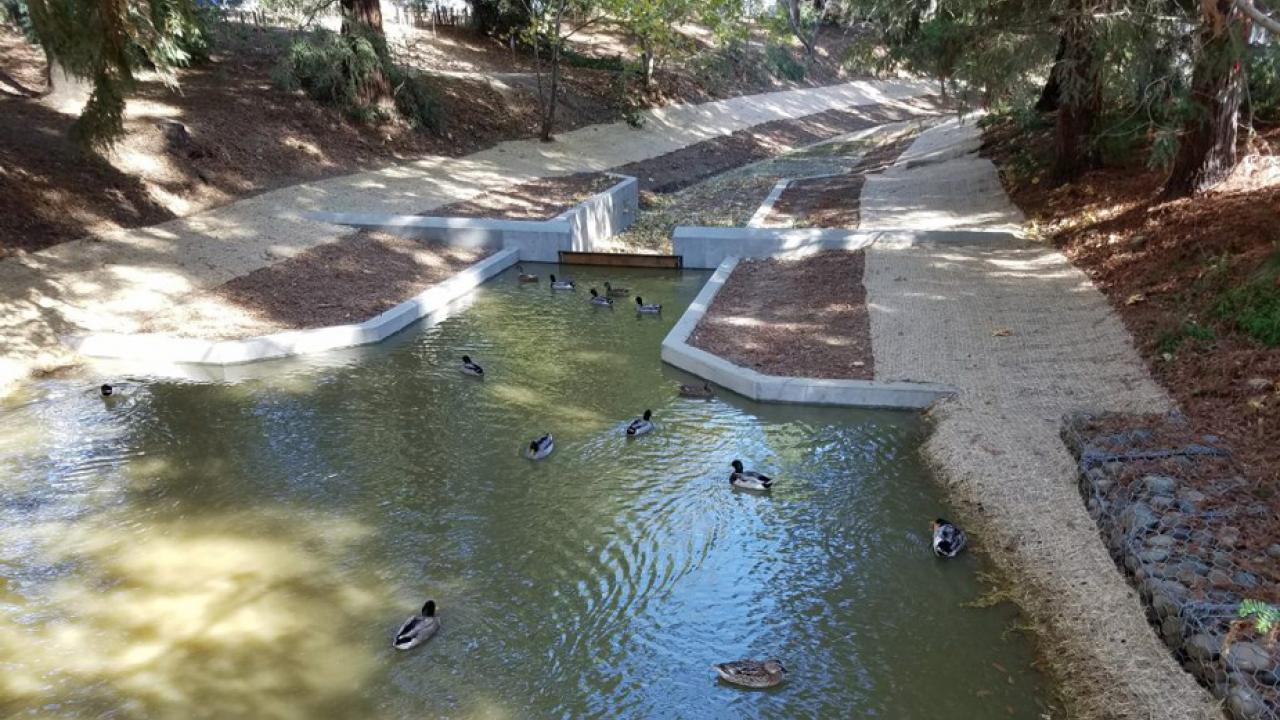 Water and ducks in lower part of waterway's eastern half