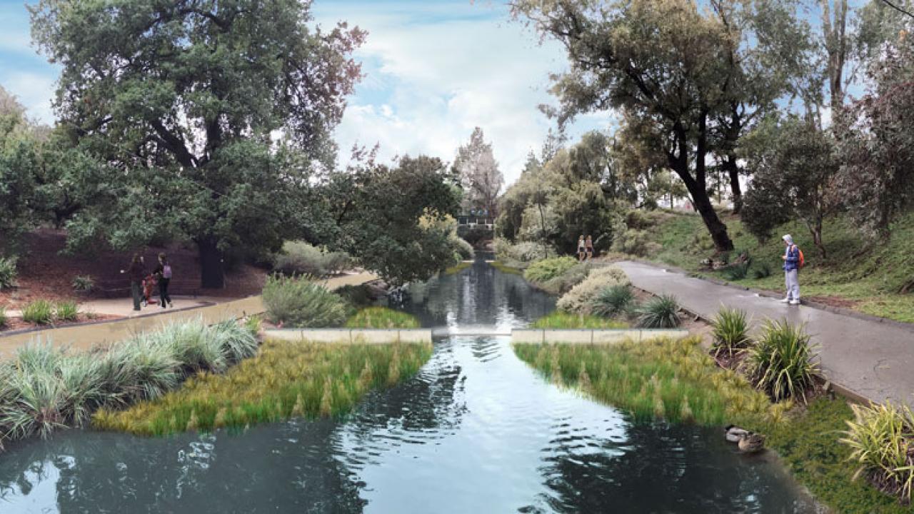 Artist's rendering: Weirs in the Arboretum Waterway