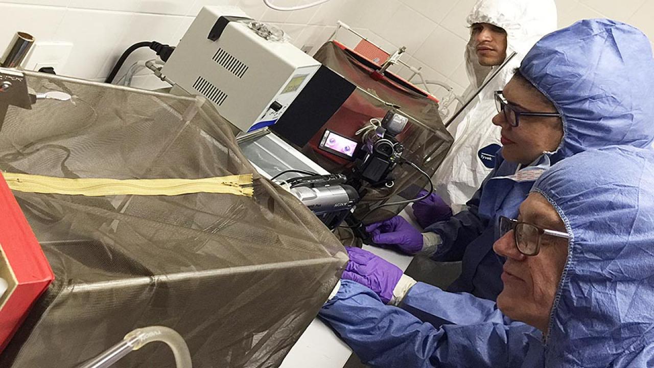 Three researchers in protective lab gloves and clothing work at lab bench