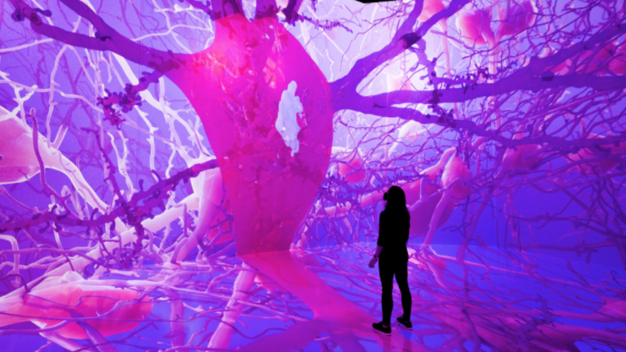 Woman standing in front of neuron exhibit