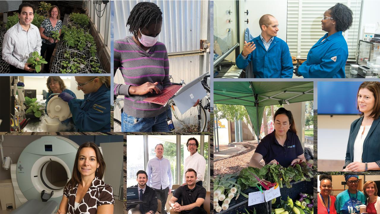 Collage of people in different research situations, labs, greenhouses, etc