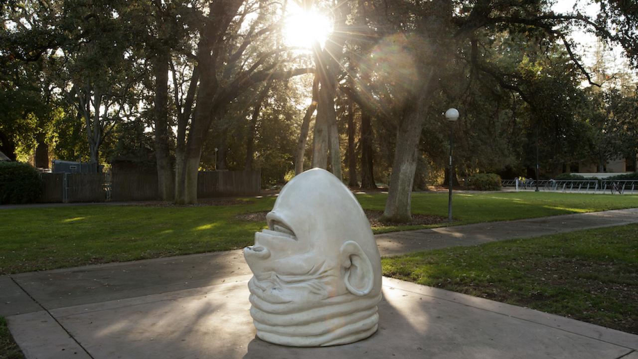 Eye on Mrak egghead sculpture at UC Davis