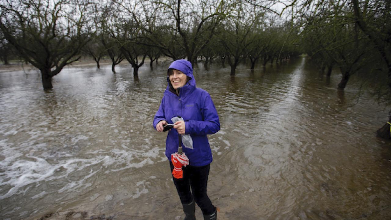 Woman in purple jacket stands in rain in almond orchard for groundwater recharge experiment.