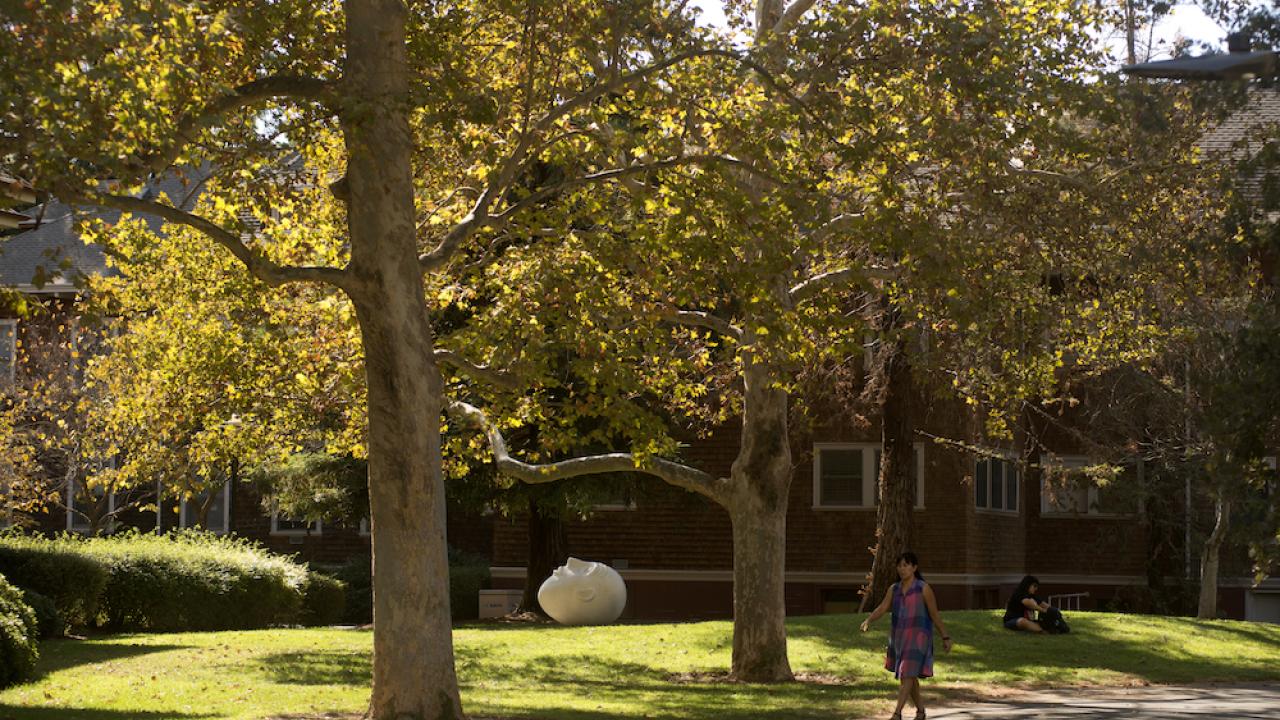 Stargazer egghead sculpture on UC Davis campus in the fall