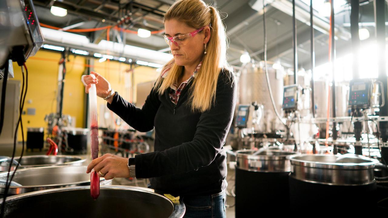 Woman scientist conducts tests in winery laboratory