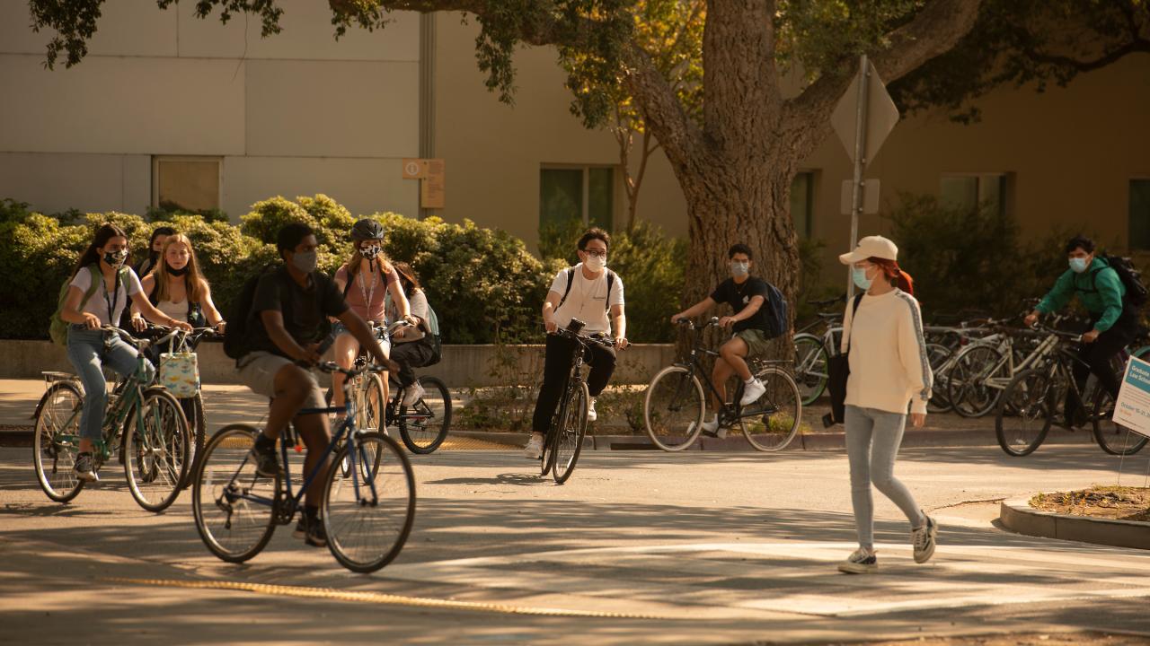 Students riding bikes and walking around a busy UC Davis campus. 