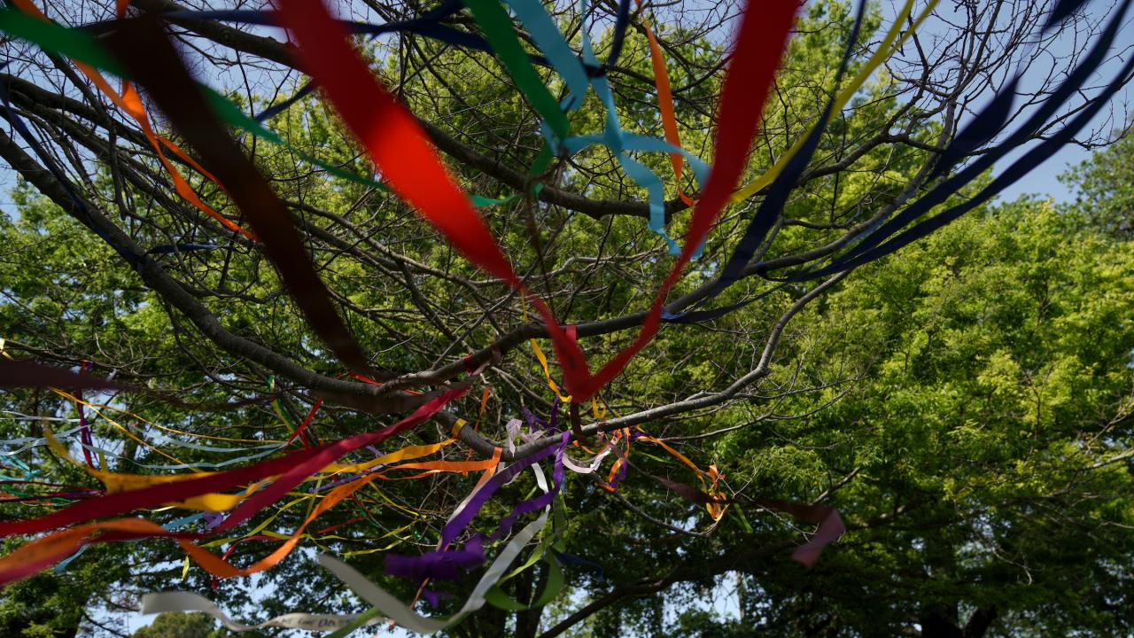 colorful ribbons blowing in the breeze from a tree