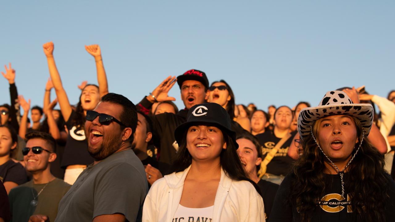 The crowd of Aggies, wearing UC Davis merchandise, cheers on their team during the Homecoming football game between UC Davis and Northern Arizona in the glow of the sunset.