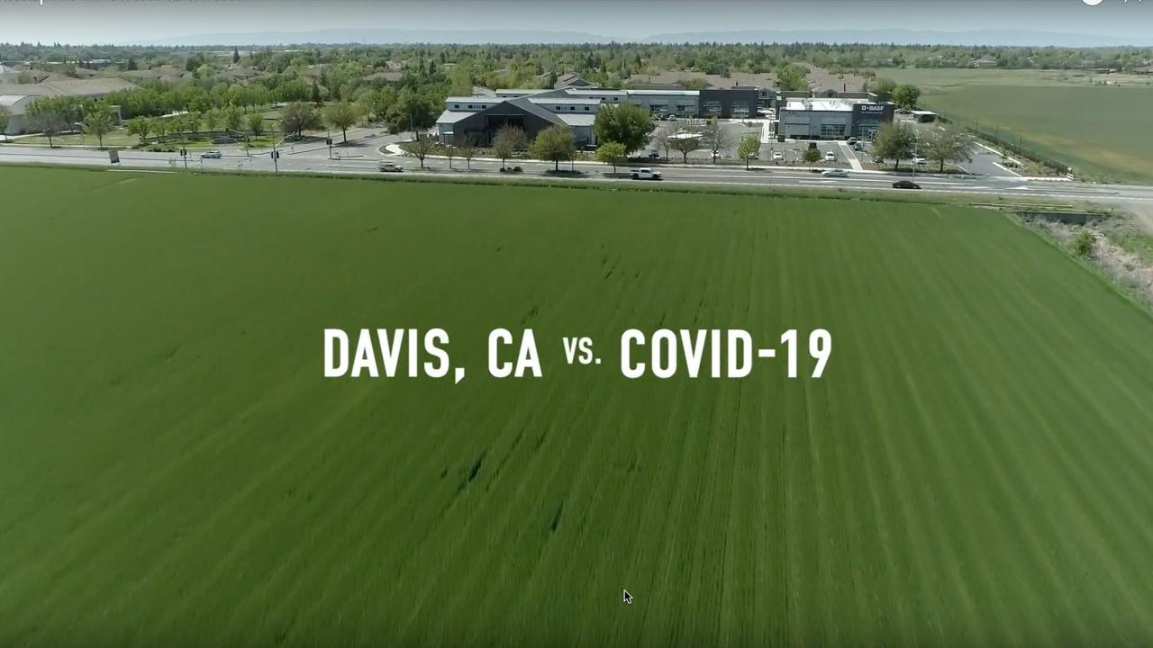 "Davis CA vs. COVID" title card