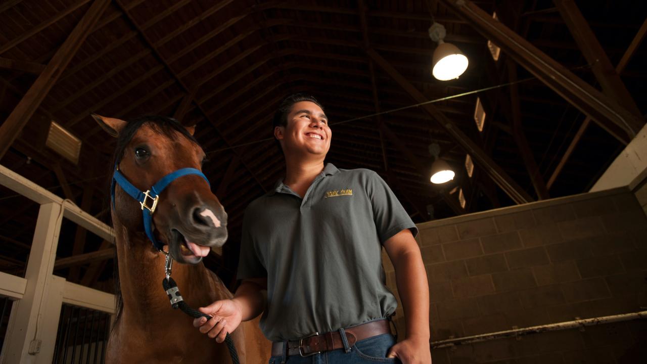 A student smiles with a horse in a barn at UC Davis. 