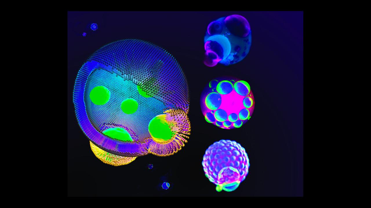 Brightly colored spheres against a dark background. 
