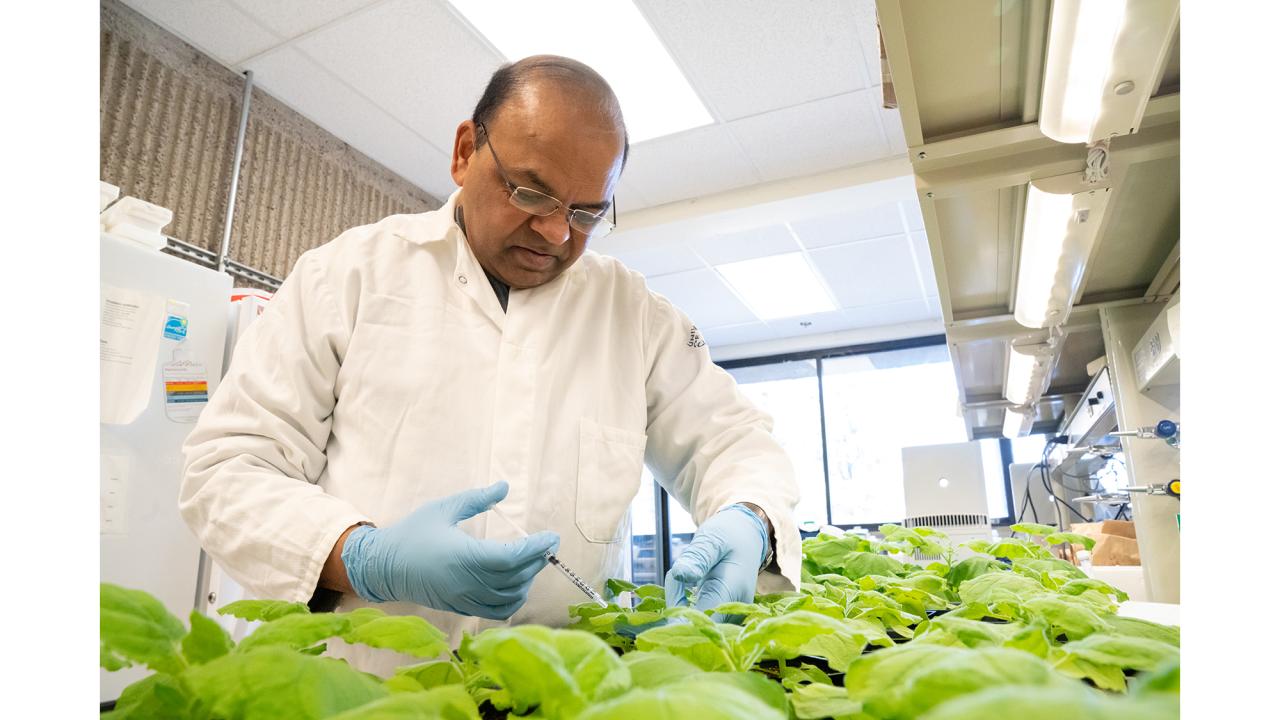 A brown-skinned man wearing a white lab coat and glasses stands over a tray of green seedlings. 