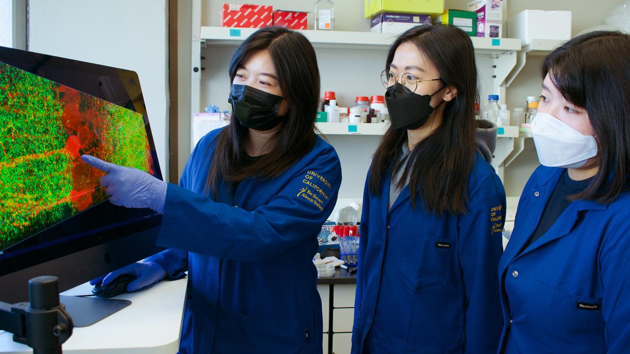 Three dark-haired women in dark blue lab coats look at a computer monitor to the left. 