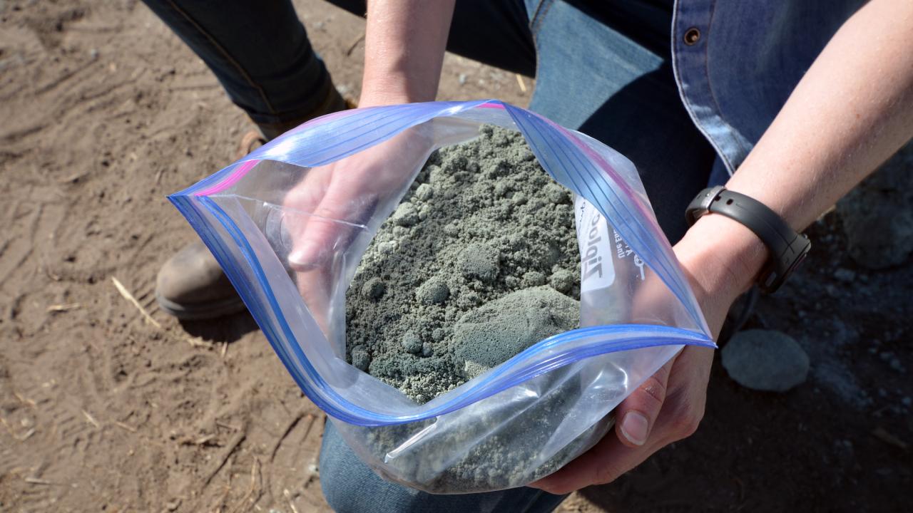 An open plastic bag of crushed grey rock called metabasalt. Researchers have found adding it to farmland can suck carbon out of the air.