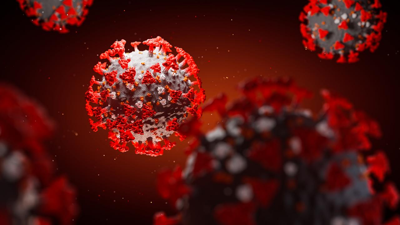 Artistic rendering of SARS-CoV-2 virus