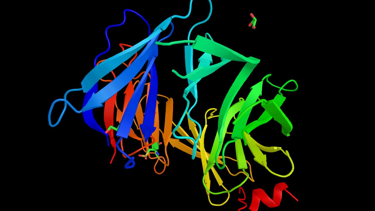Colored ribbon diagram reflecting protein structure