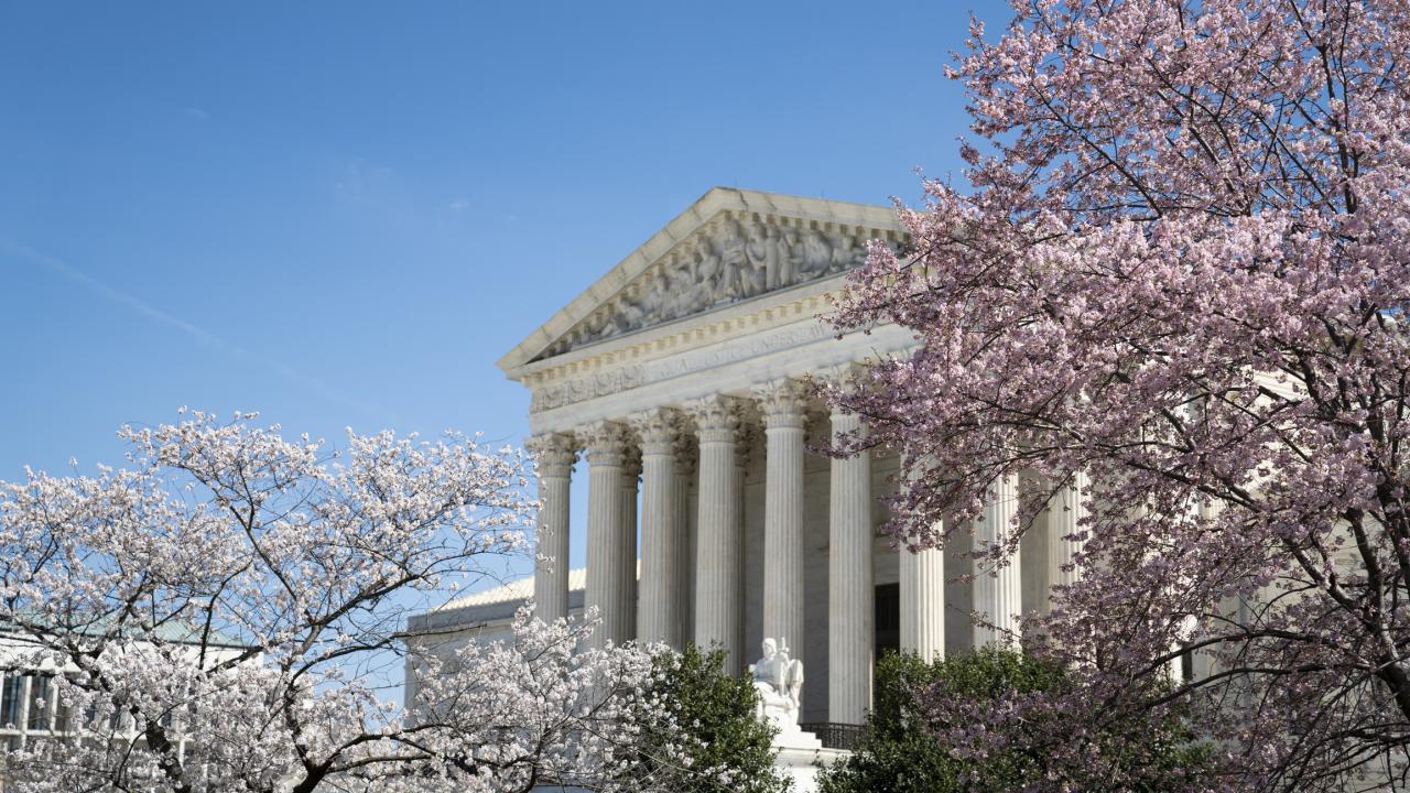 Oblique view of U.S. Supreme Court building with blue sky and cherry blossom