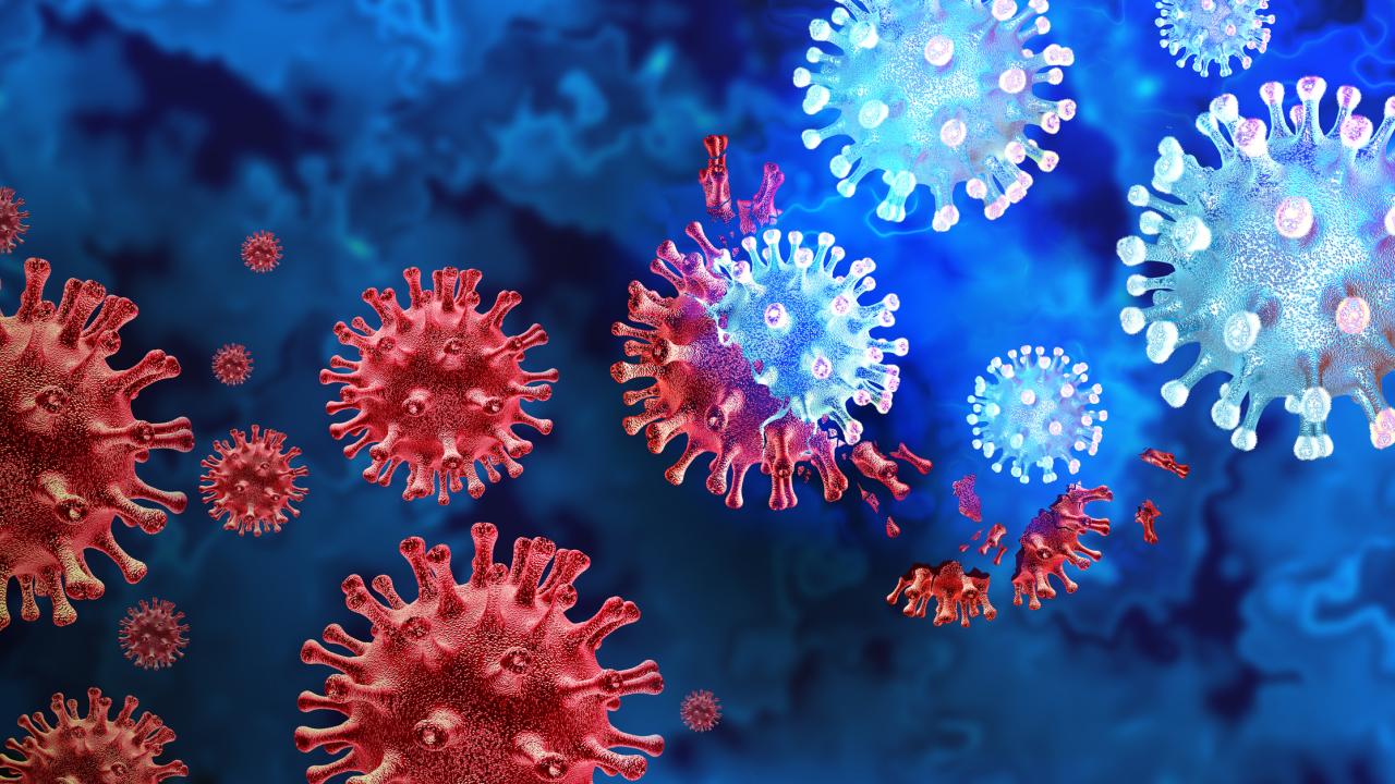 Spherical coronaviruses against a blue background. The image is split diagonally: on lower left, viruses are red and on upper right light blue. 