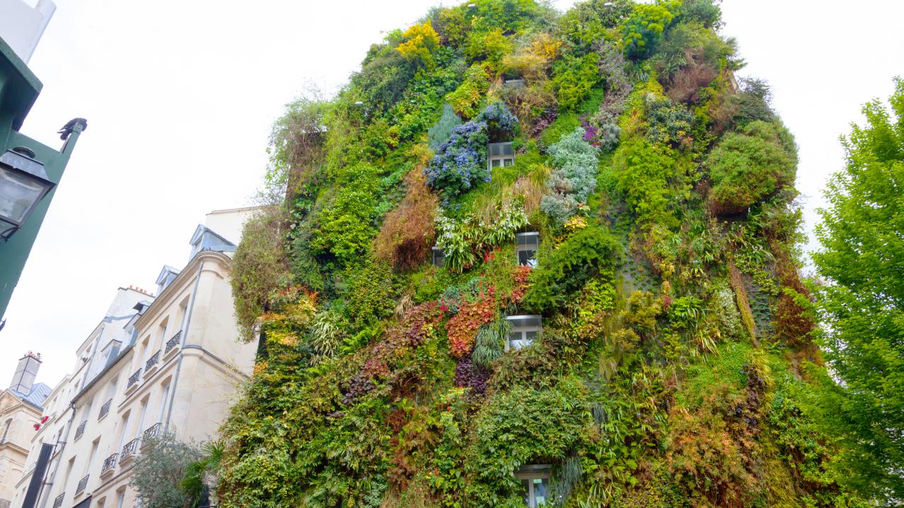 Vertical garden on residential building in central Paris 