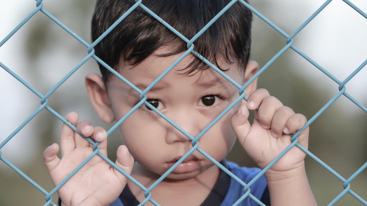 Dark-complected toddler pulling on chain-link fence