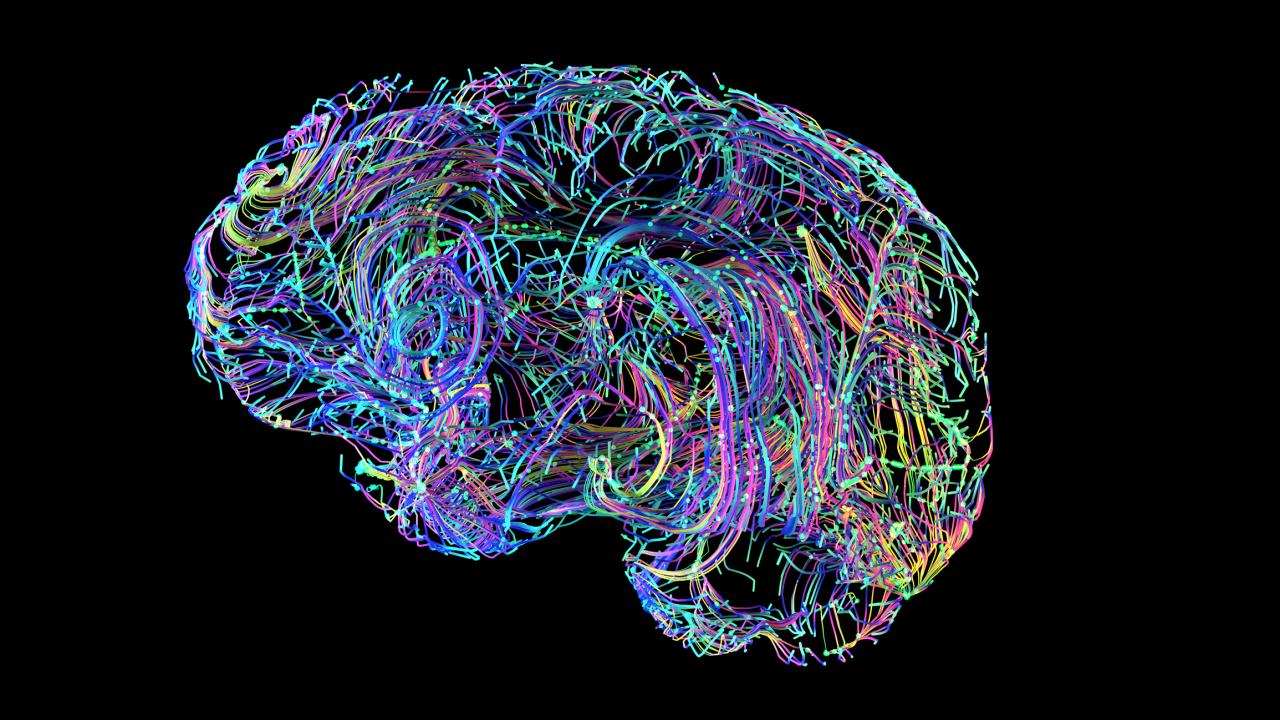 Concept image of brain connections