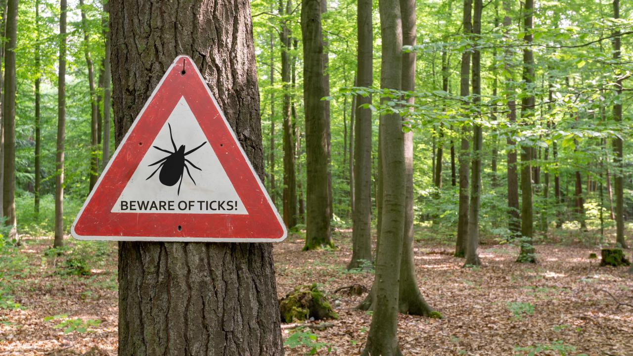 sign warning of ticks posted on tree along forest trail