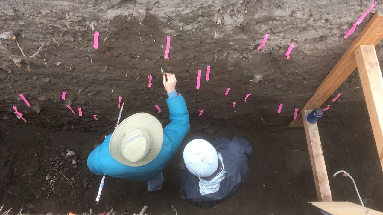 Two people in a trench seen from above 
