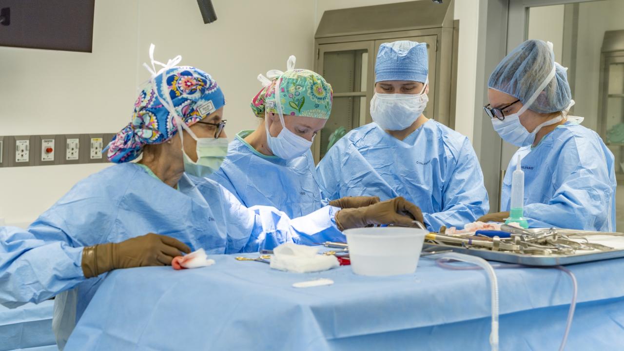 UC Davis Veterinary Medical Teaching Hospital has opened the Center for Advanced Veterinary Surgery. Veterinary surgeons and technicians stand in front of a table with surgical tools at the center, which offers state-of-the-art operating rooms for orthopedic surgeries. (UC Davis School of Veterinary Medicine)