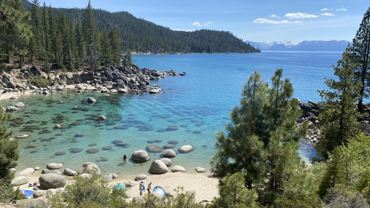 View of Lake Tahoe clear blue cove surrounded by pine trees on sunny summer day