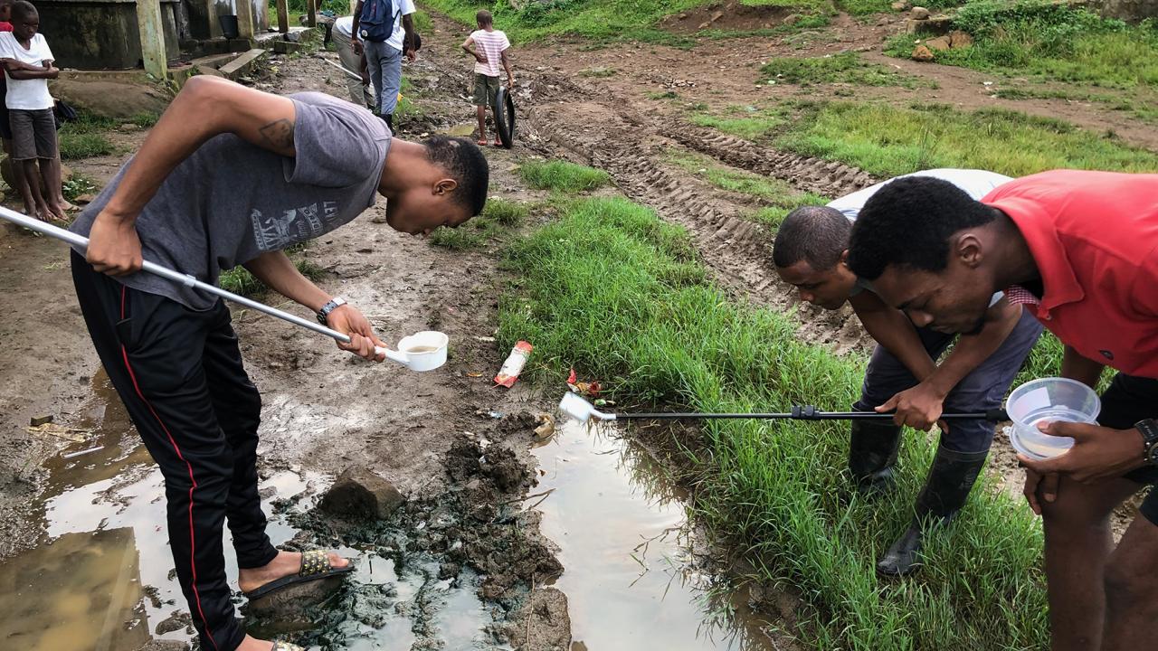 Students collecting mosquito larvae from a ditch. 