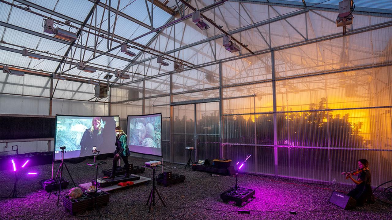 Art installation including geometric lines, color video, with purple hue
